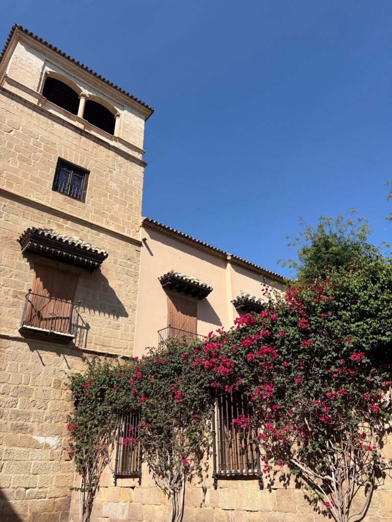 01-spain-edificio-buganvilla