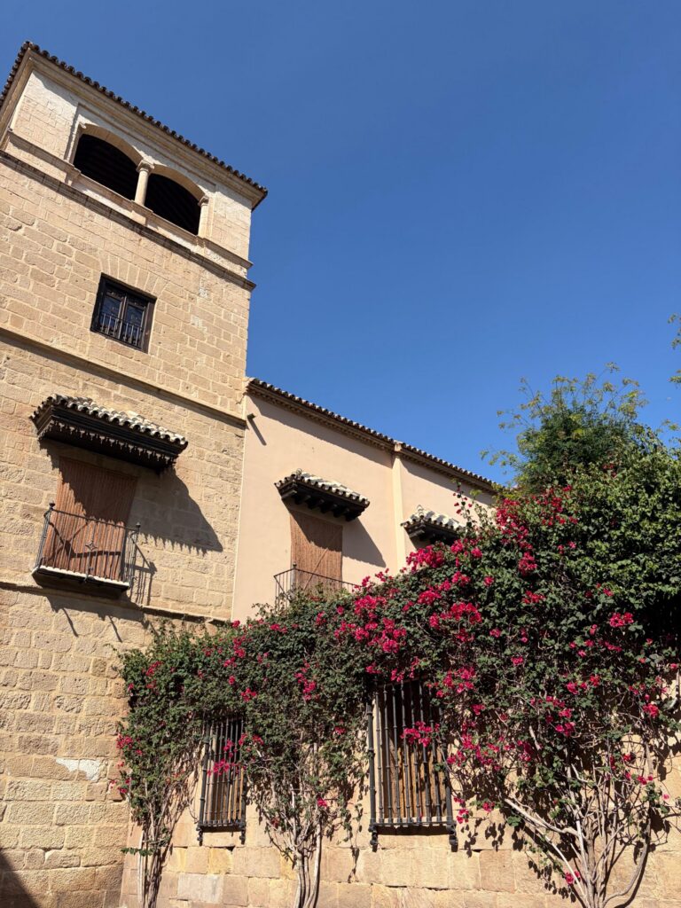 01-spain-edificio-buganvilla-scaled.jpeg