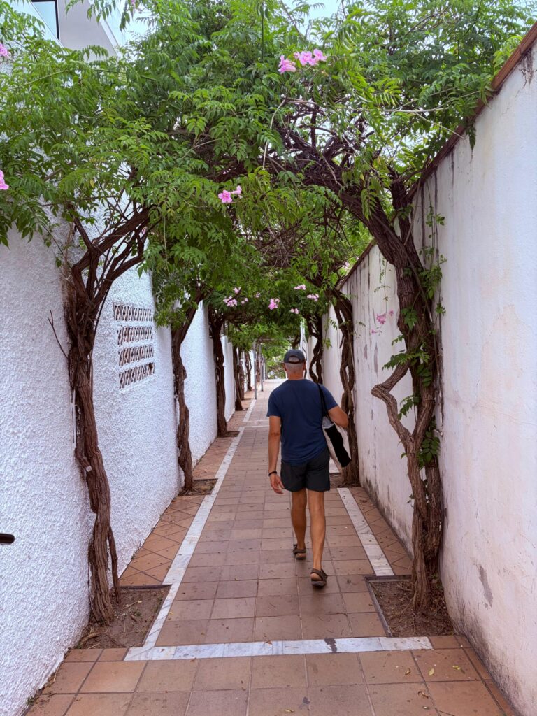 04-spain-callejon-flores-scaled.jpeg